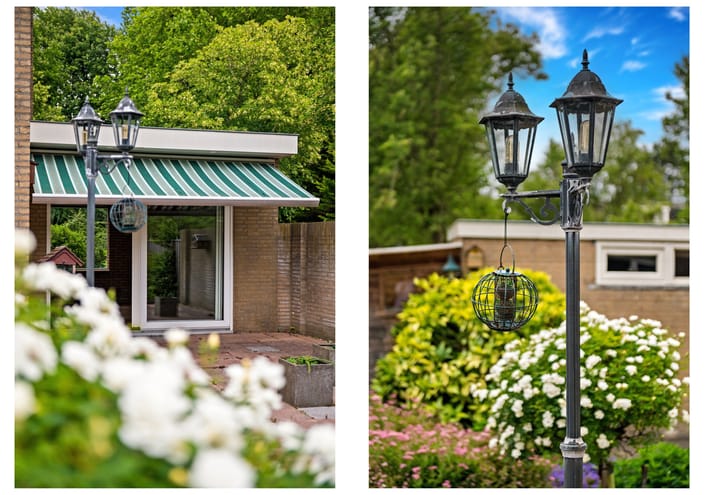 Foto 22 van Grabijnhof 28