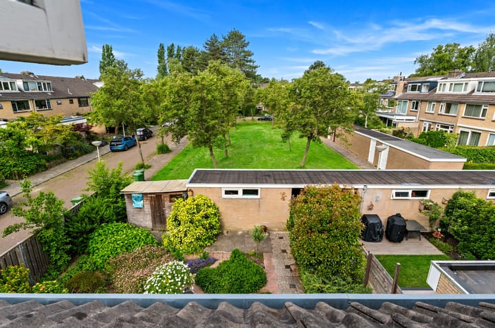 Foto 49 van Grabijnhof 28