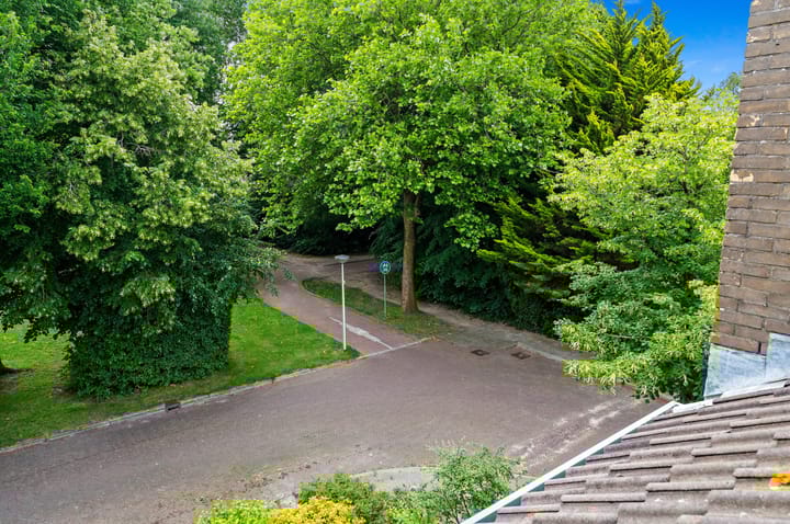 Foto 50 van Grabijnhof 28