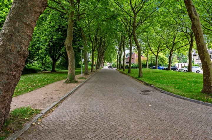 Foto 55 van Grabijnhof 28