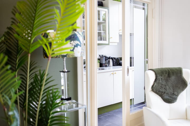 Foto 4 van Eerste Hieronymus van Alphenstraat 72