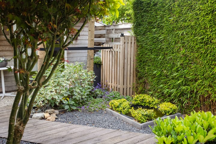 Foto 18 van Eerste Hieronymus van Alphenstraat 72