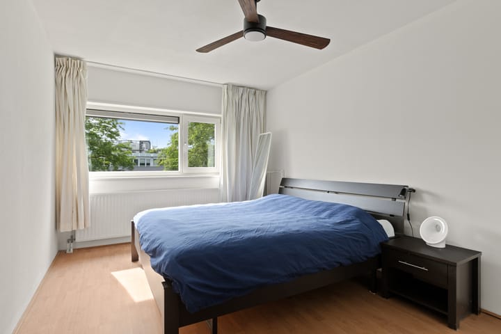 Foto 29 van Meerval 28