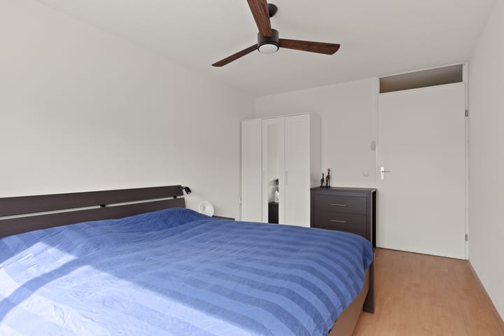 Foto 31 van Meerval 28