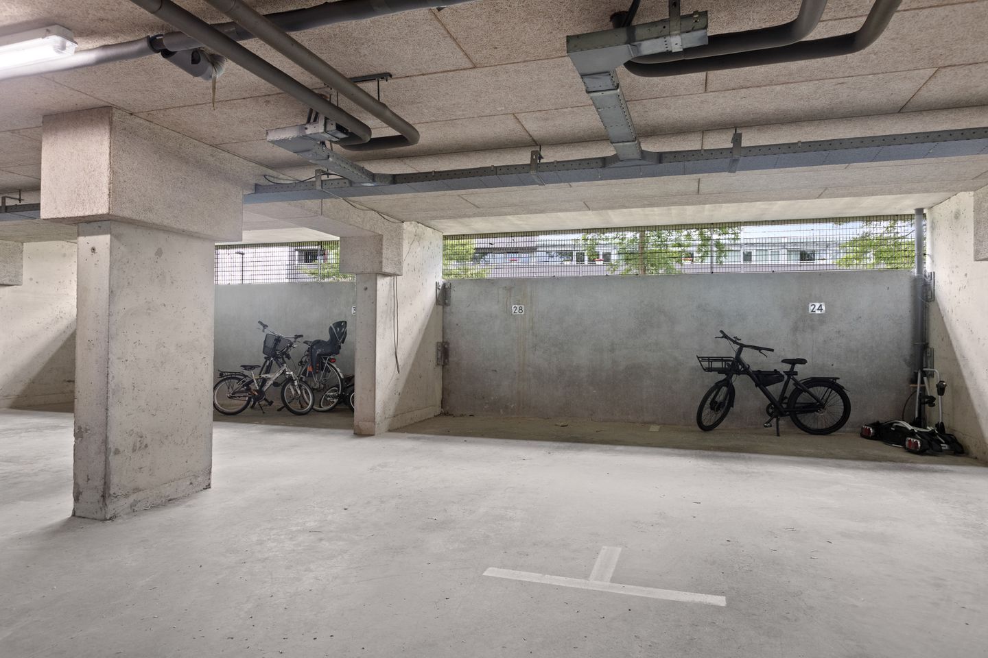 Foto 40 van Meerval 28