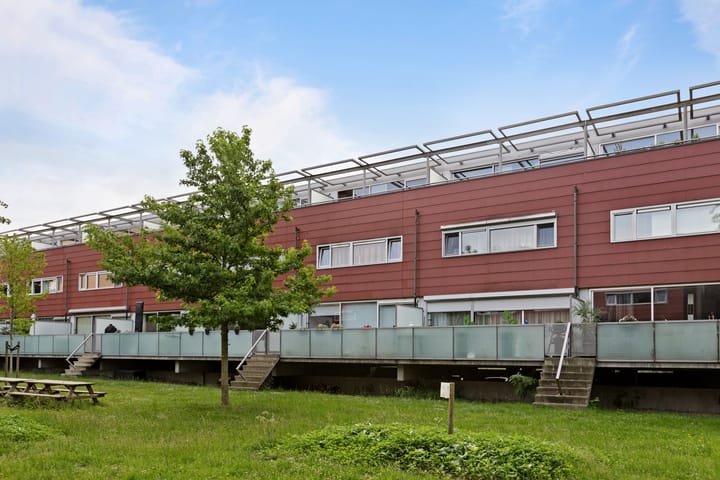 Foto 43 van Meerval 28