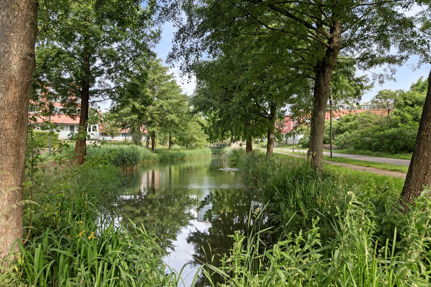 Foto 50 van Meerval 28