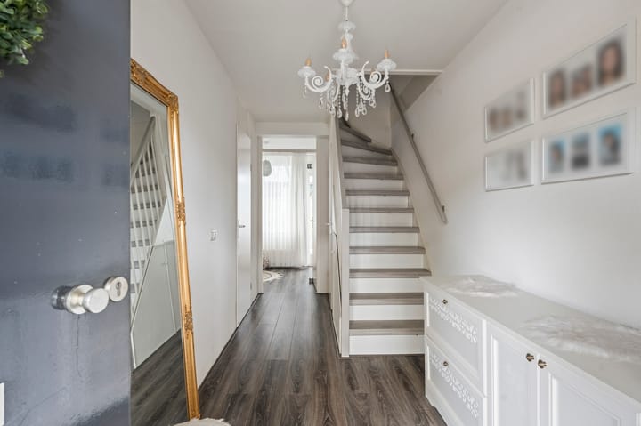 Foto 11 van Bruinvisstraat 73