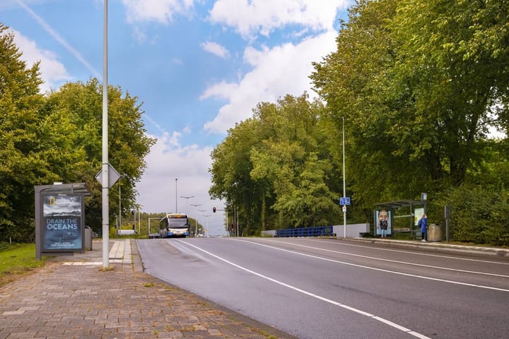 Foto 45 van Bruinvisstraat 73