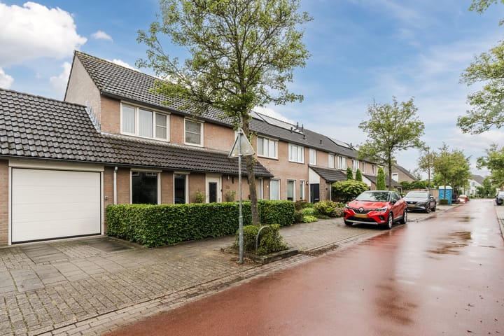 Foto 42 van Zomerland 106