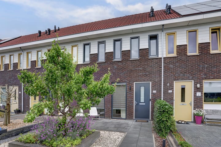 Foto 5 van Wijnverlater 29