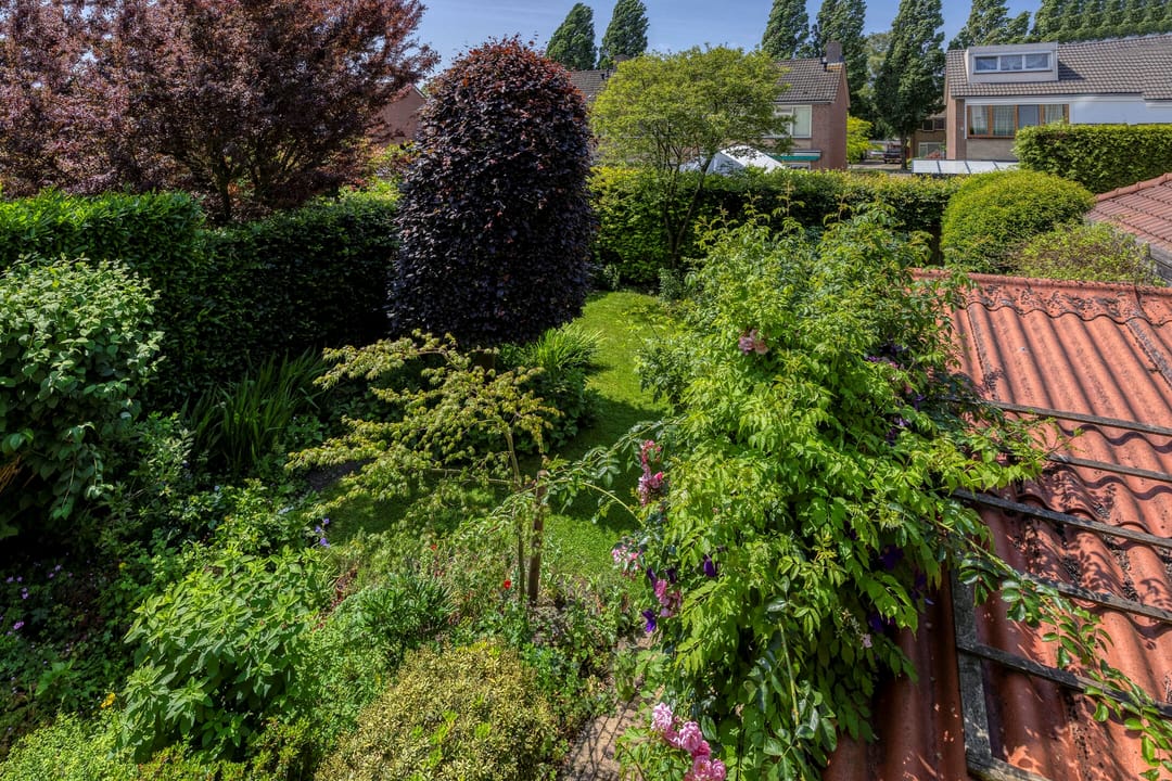 Foto 8 van Den Hof 29