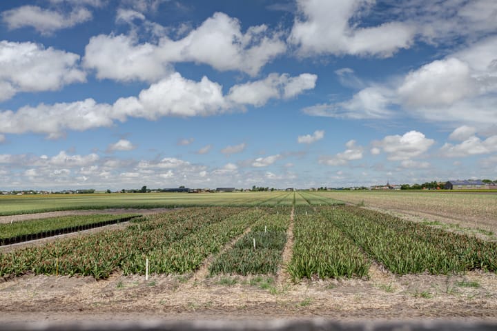 Foto 60 van Molenvaart 244