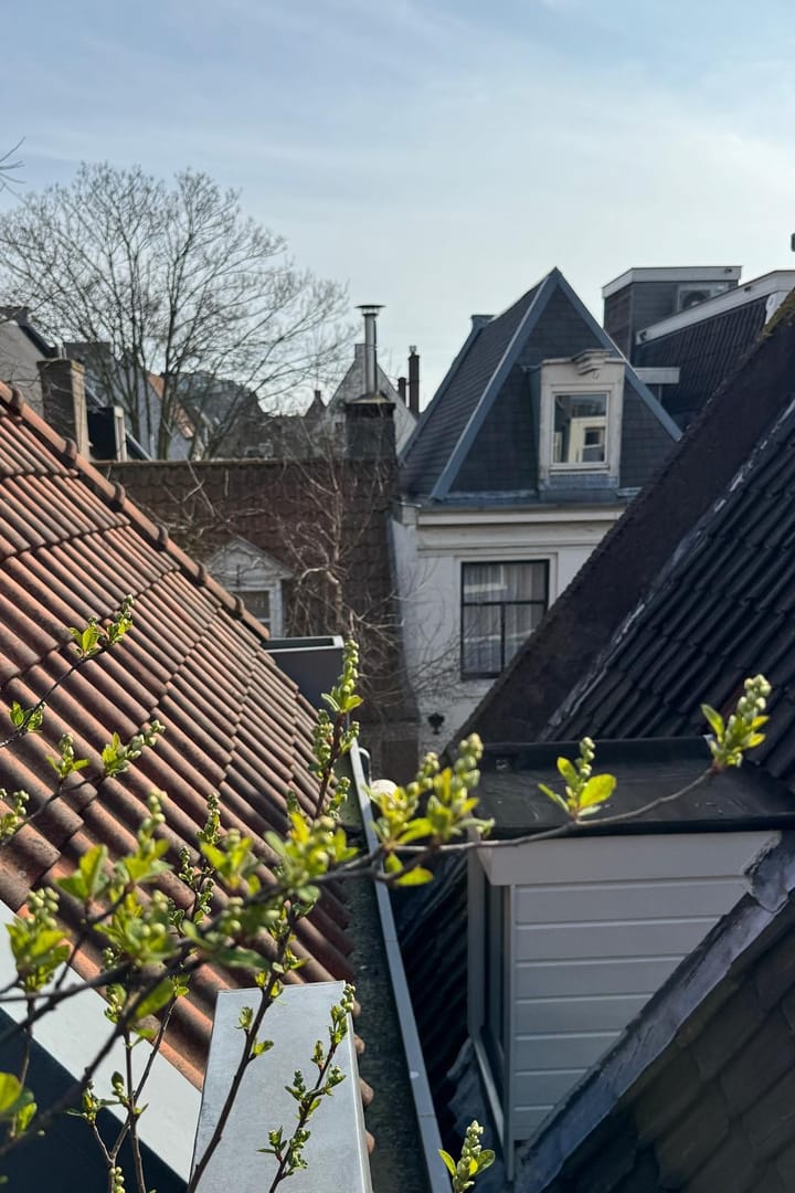 Foto 33 van Utrechtsedwarsstraat 149