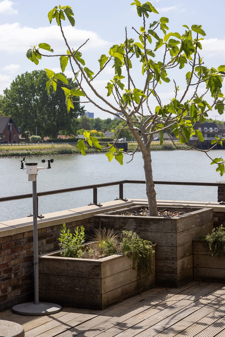 Photo 30 of Stuurboord 28