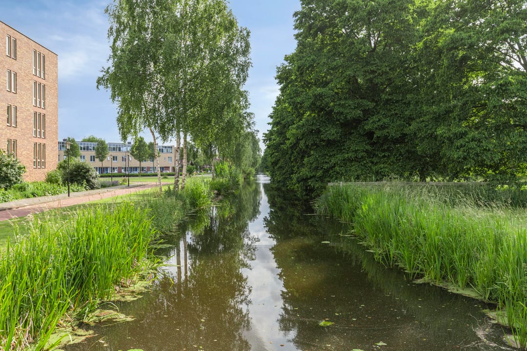 Photo 28 of Nabucco 36