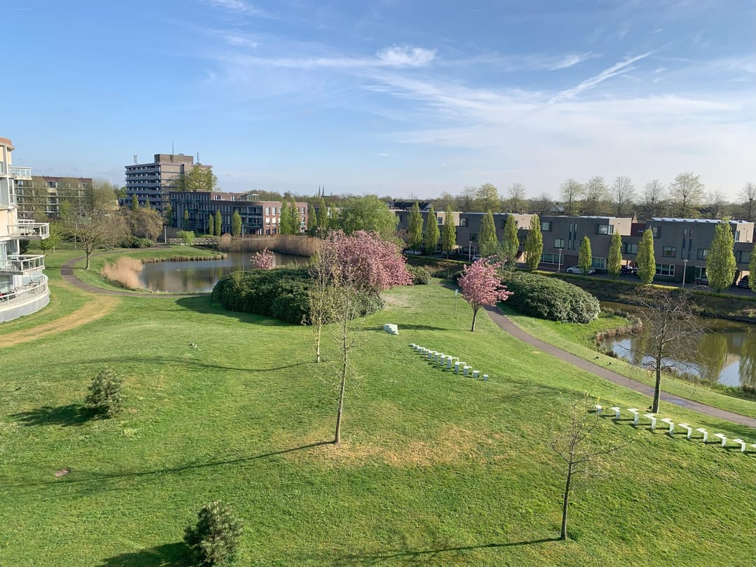 Photo 11 of Bernhardlaan 44