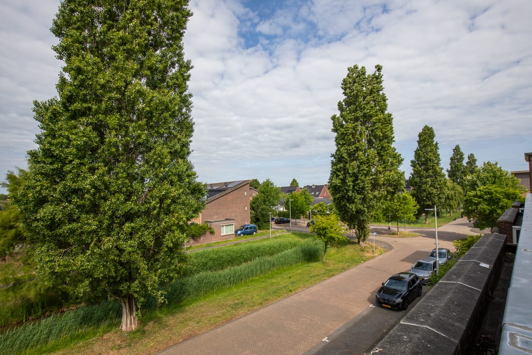 Foto 38 van Vlindersingel 161