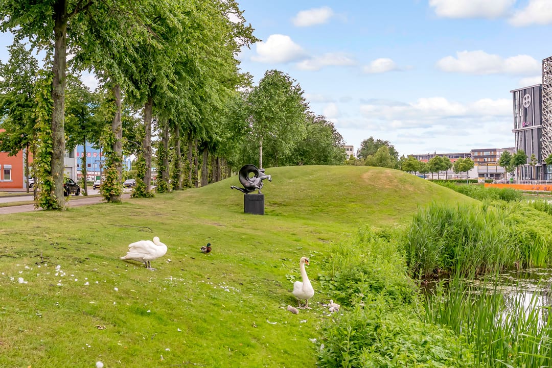 Foto 23 van Zilverparkkade 87