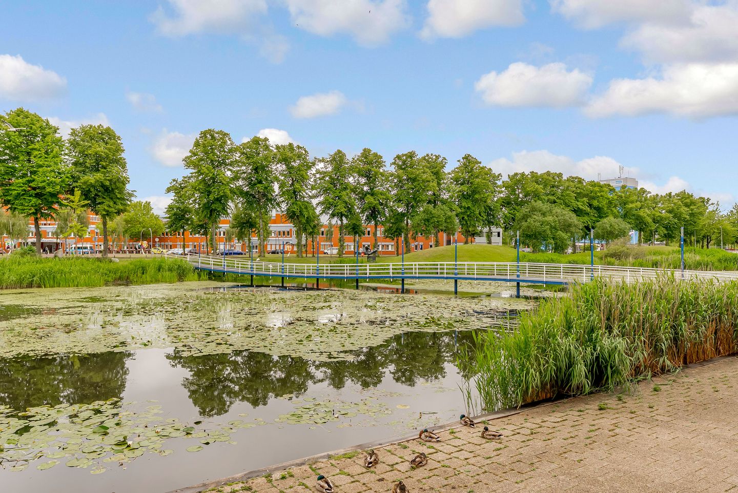 Foto 25 van Zilverparkkade 87