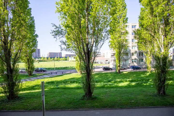 Foto 32 van Glenn Millerpad 37