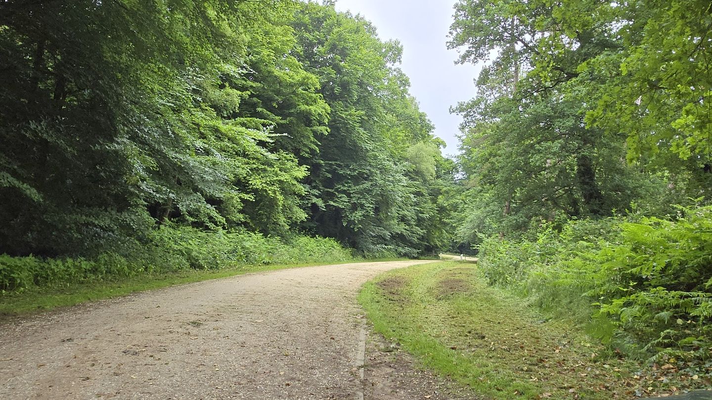 Foto 35 van Middenlaan 39