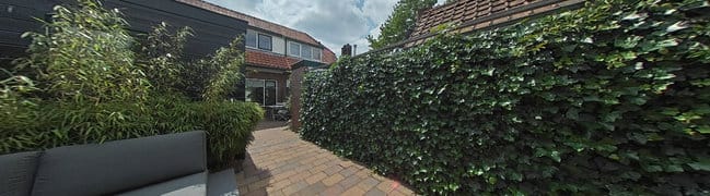 Tuin