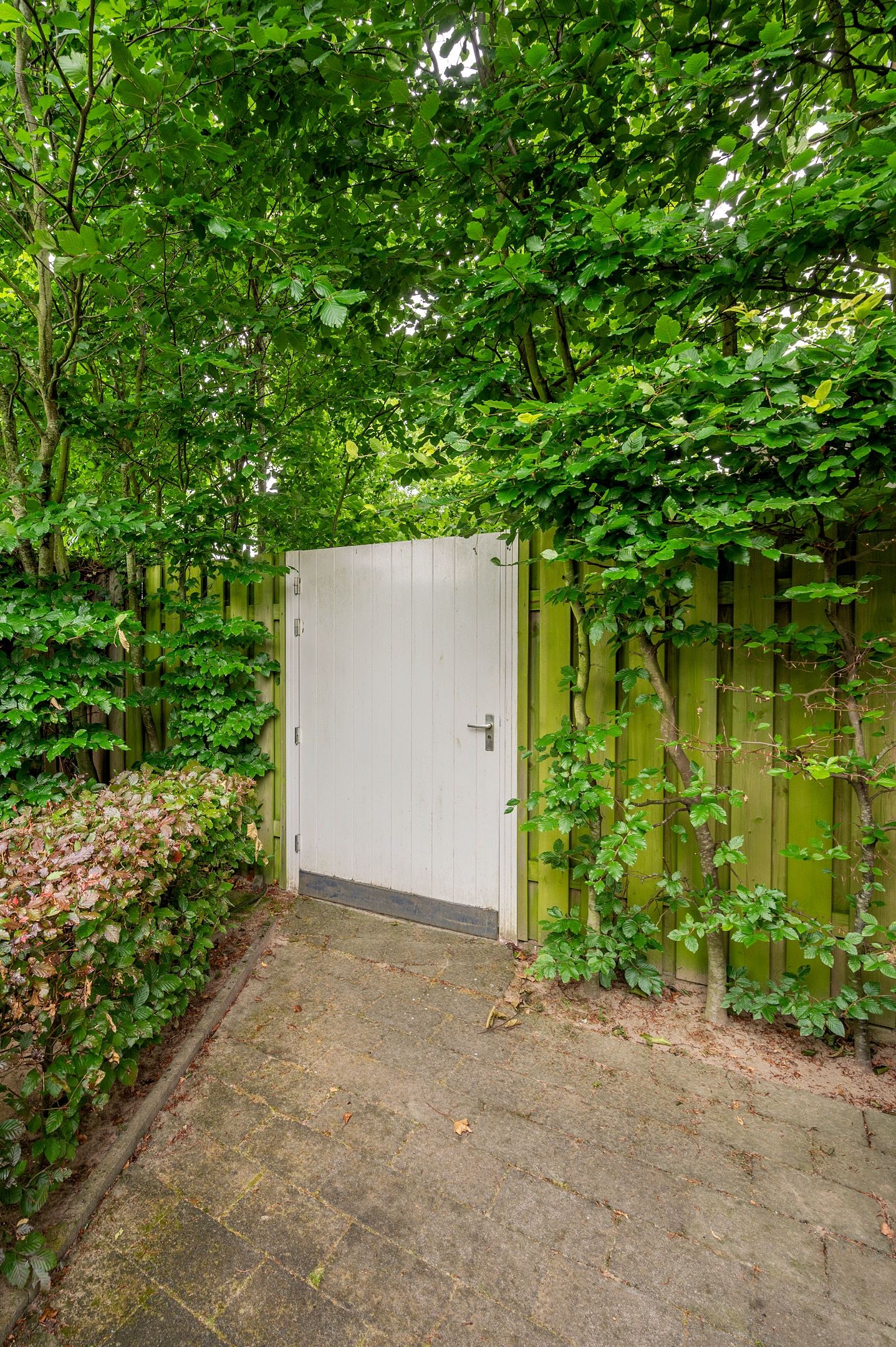 Photo 49 of Burgemeester Claessenstraat 12