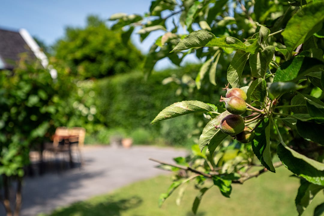 Foto 56 van Jachtlaan 22