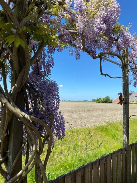 Foto 41 van Molenstraat 2