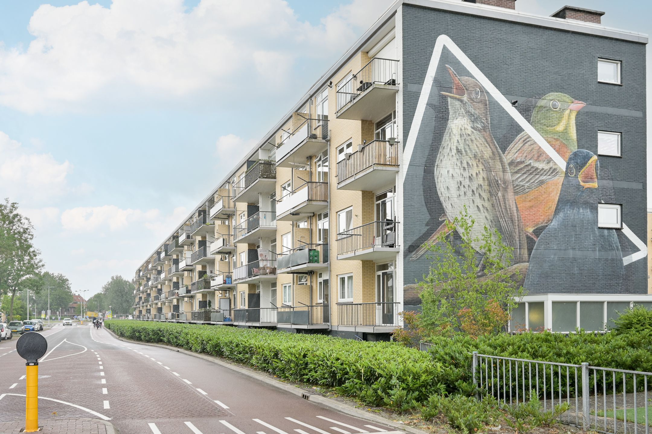 Photo 39 of Fazantstraat 36