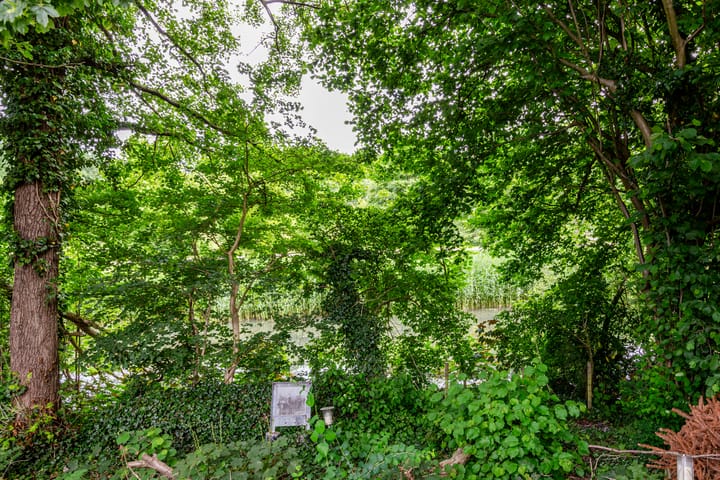 Foto 35 van Buitenplaats 173