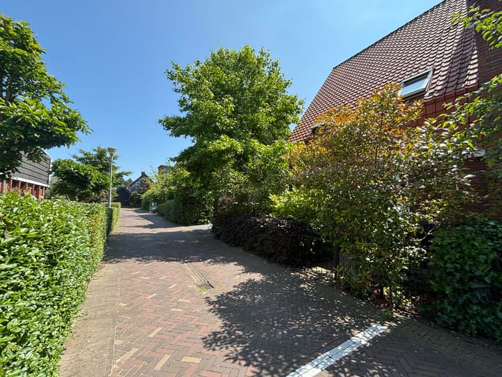 Foto 2 van Blauwe Zegge 22