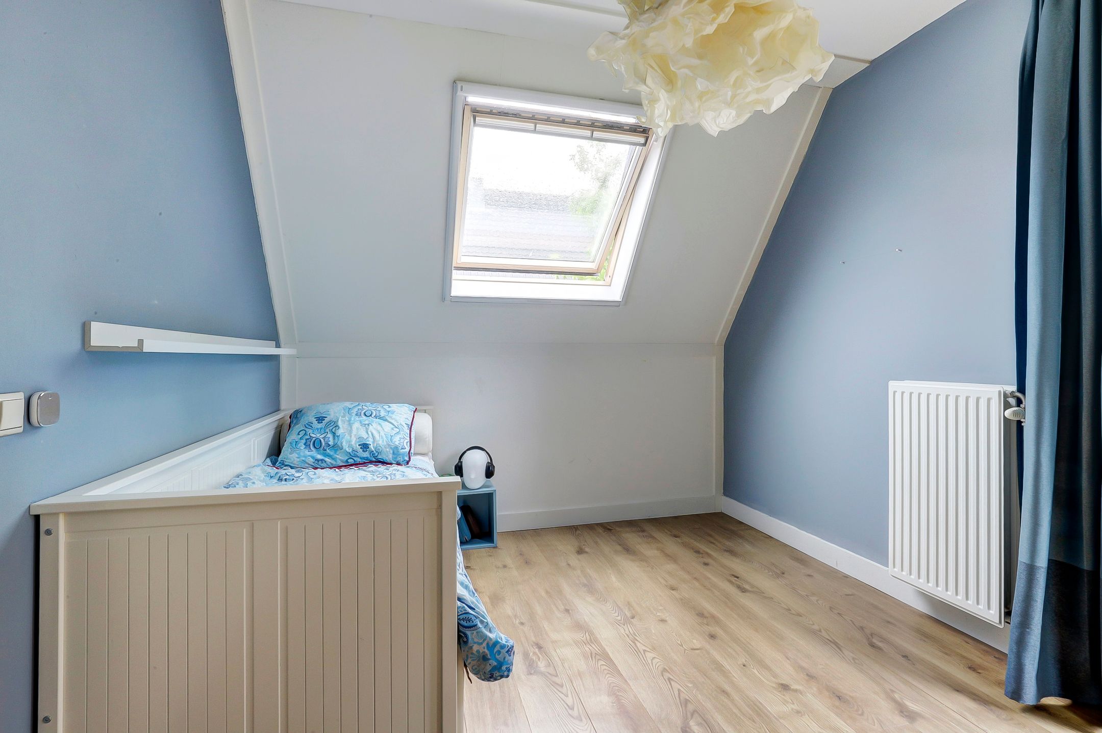 Foto 12 van Blauwe Zegge 22