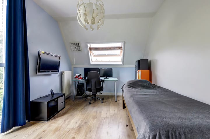 Foto 14 van Blauwe Zegge 22