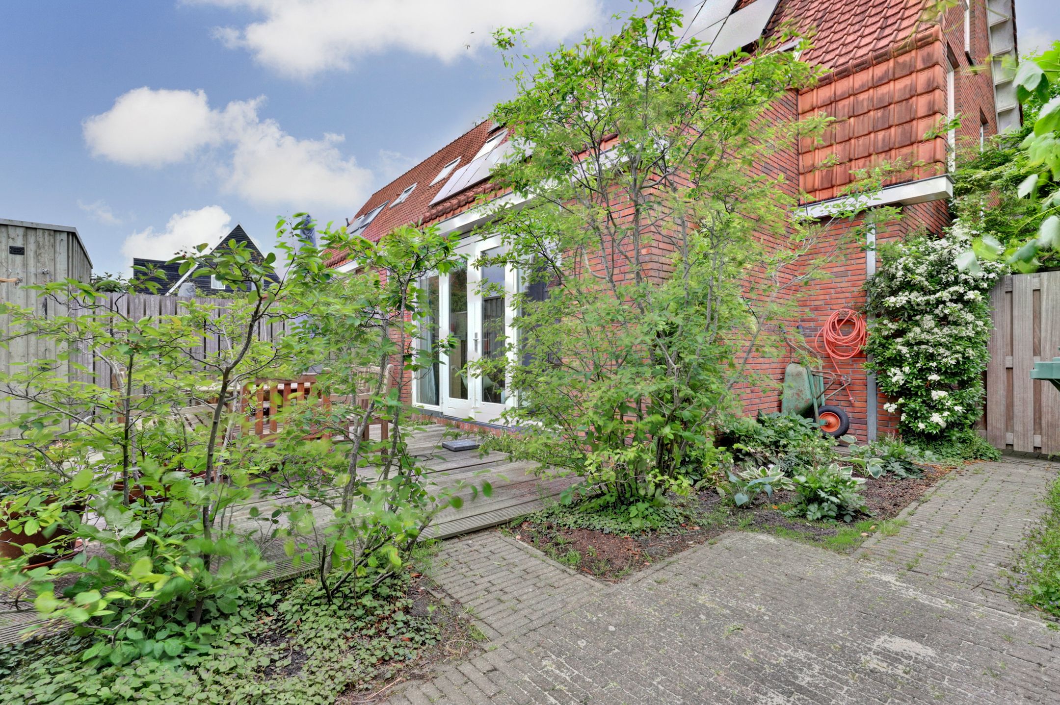 Foto 21 van Blauwe Zegge 22