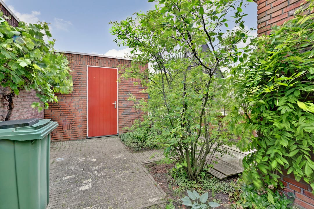 Foto 22 van Blauwe Zegge 22