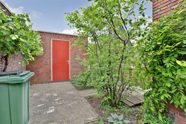 Foto 22 van Blauwe Zegge 22