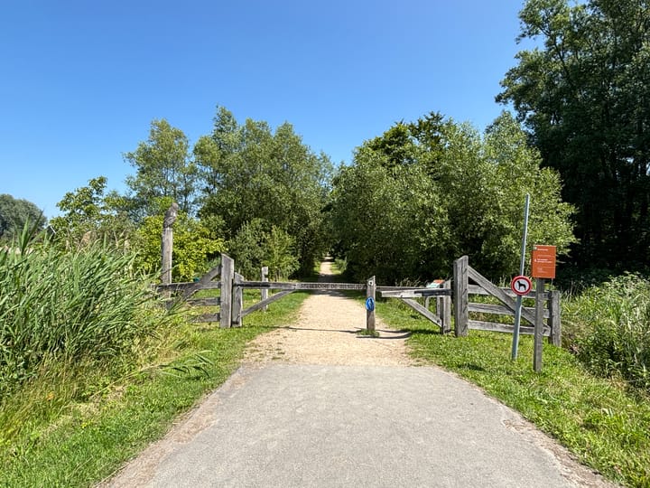 Foto 24 van Blauwe Zegge 22