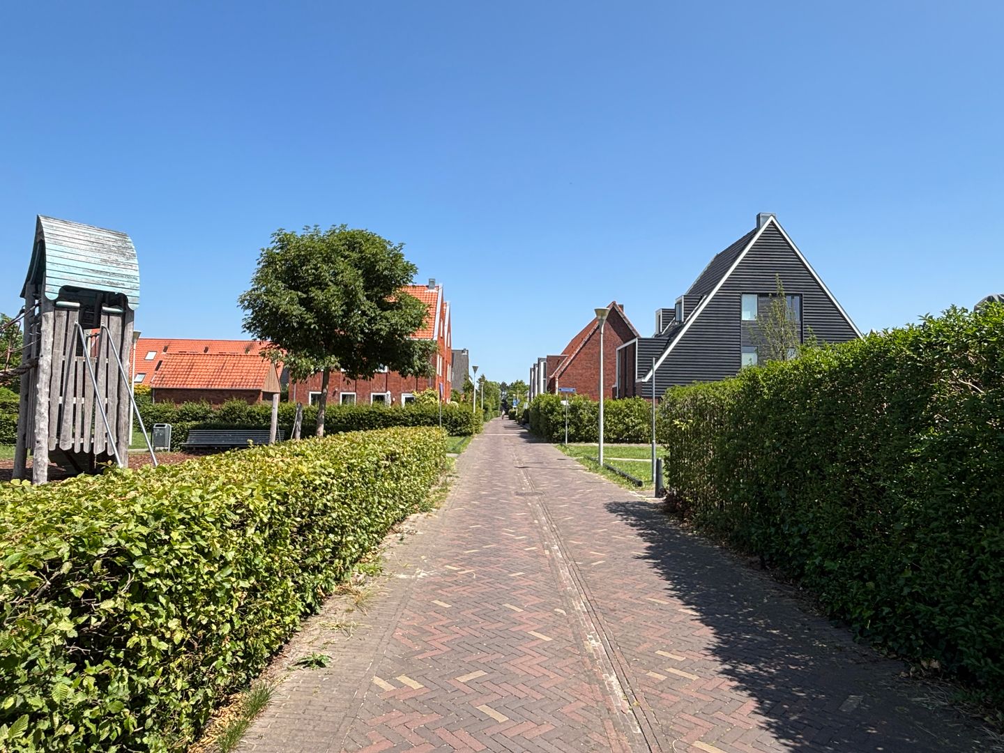 Foto 25 van Blauwe Zegge 22