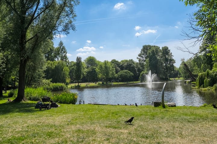 Foto 17 van Linnaeusstraat 31-D