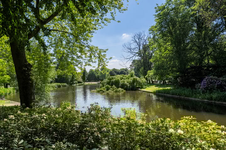 Foto 18 van Linnaeusstraat 31-D