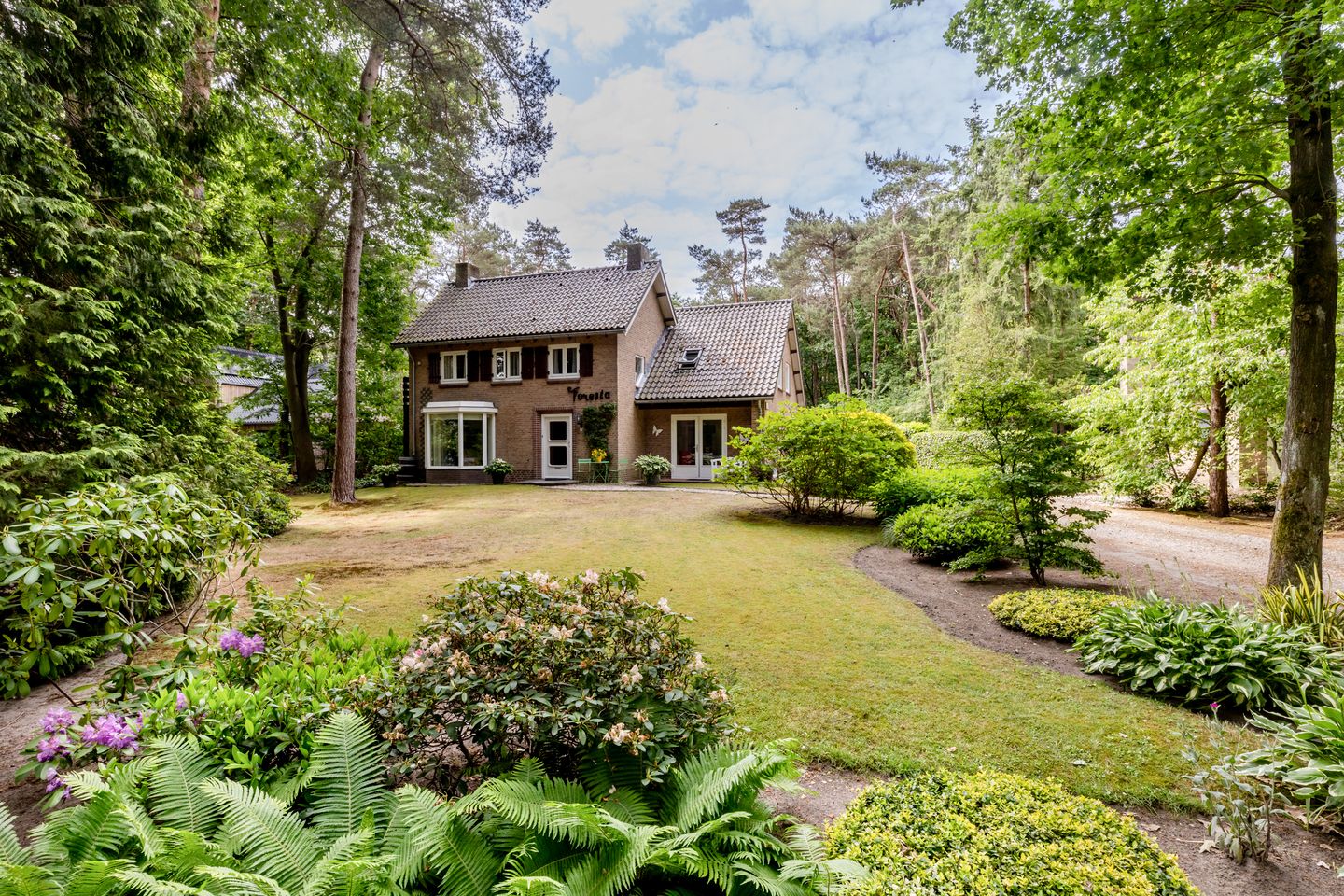 Foto 1 van Hoge Schijf 15