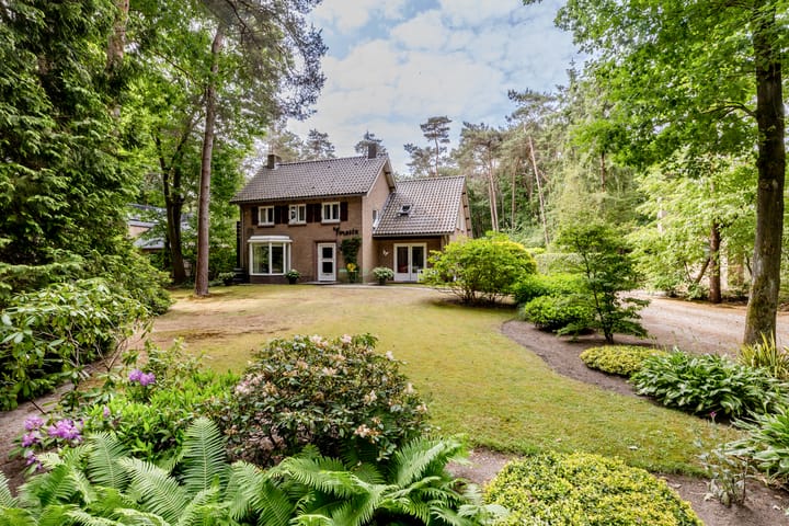 Foto 1 van Hoge Schijf 15