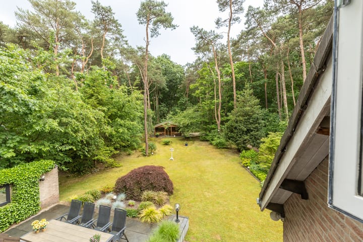 Foto 2 van Hoge Schijf 15