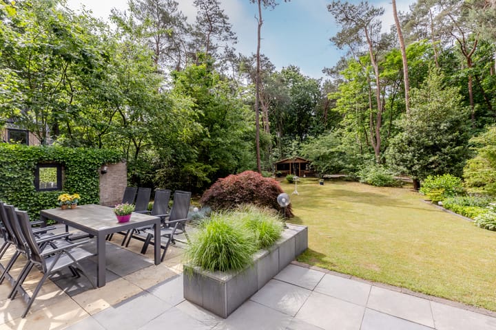 Foto 3 van Hoge Schijf 15