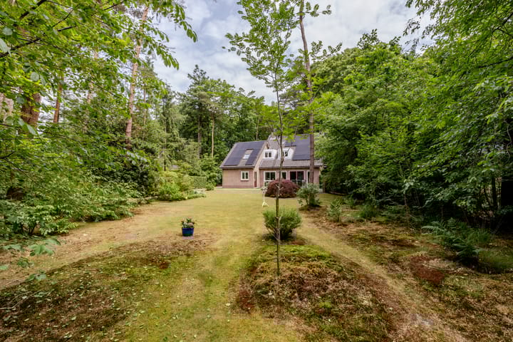 Foto 4 van Hoge Schijf 15