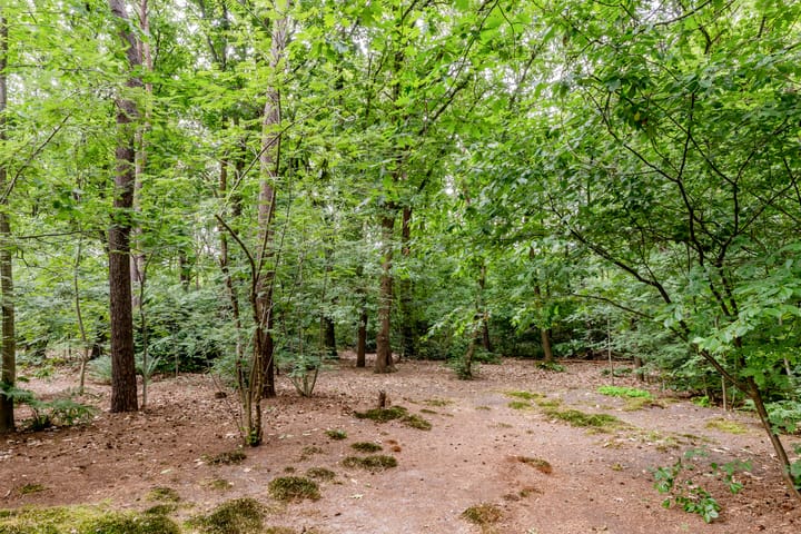 Foto 5 van Hoge Schijf 15