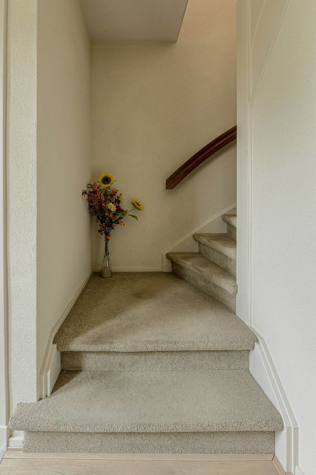 Photo 25 of Simon van Sonplein 9