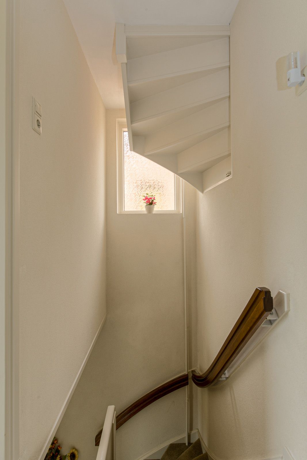 Photo 26 of Simon van Sonplein 9